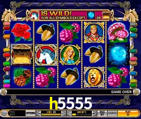 Descubra o Mundo do Cassino Online com h5555